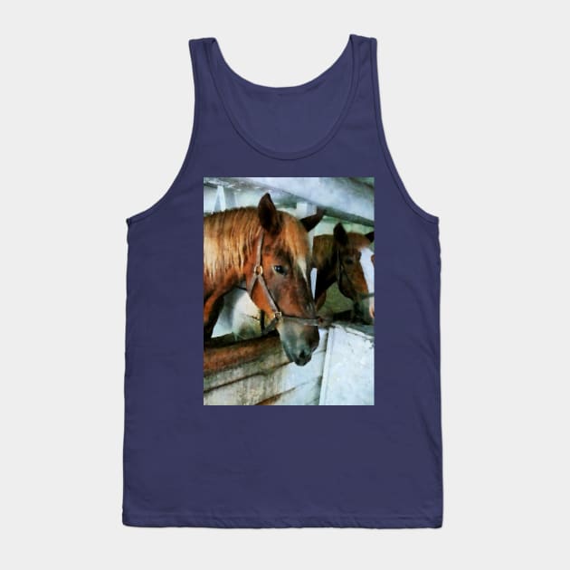 Horses - Brown Horse in Stall Tank Top by SusanSavad